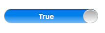 The text for the on state set to read 'True'